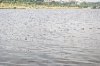 20120607_ (106)